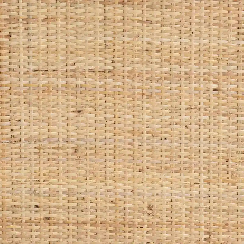 Camara Modern Bohemian Natural Brown Rattan Single-Drawer Nightstand